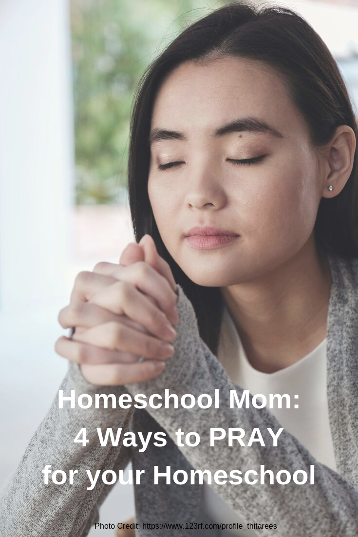 Being a homeschool mom is a calling. Don't let fear or trouble shake you from that. Instead, pray for God to carry you through your homeschool journey! #homeschool #homeschoolmom #prayingmom