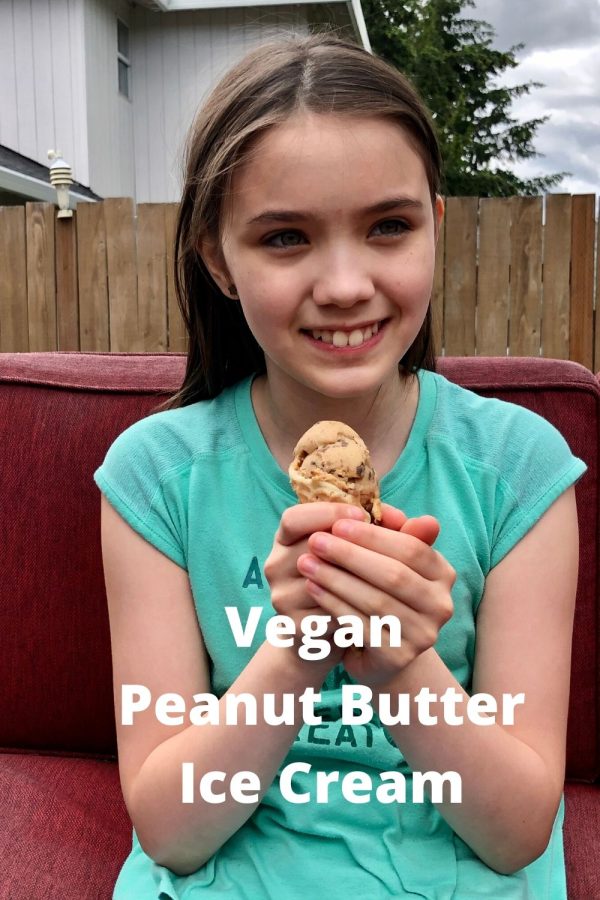 Vegan Ice Cream Creamy Peanut Butter with Chocolate Flecks Fearless Faithful Mom