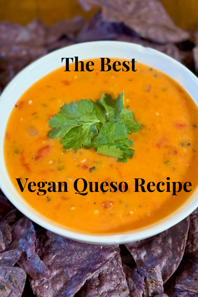 Try the best vegan queso recipe—creamy, dairy-free, and perfect for snacking, game nights, or easy allergy-friendly meals.